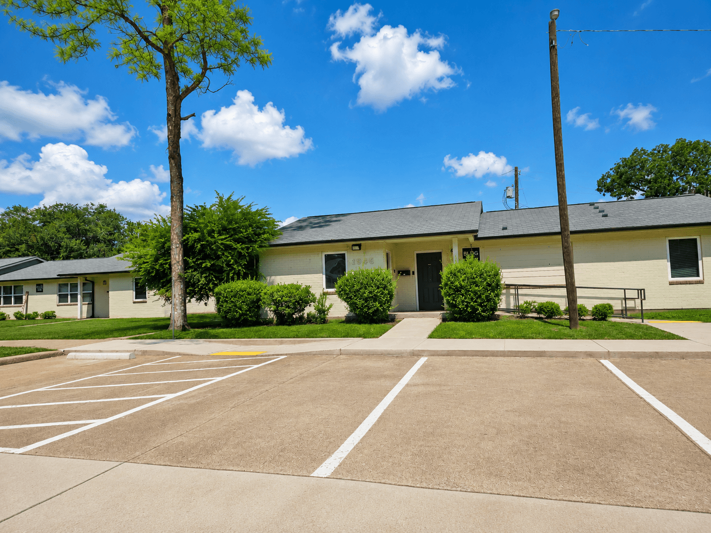 A parking lot in front of a building with a tree and bushes.